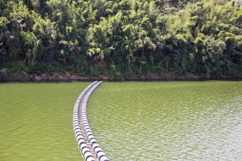 Lago, restauración hidrológico forestal